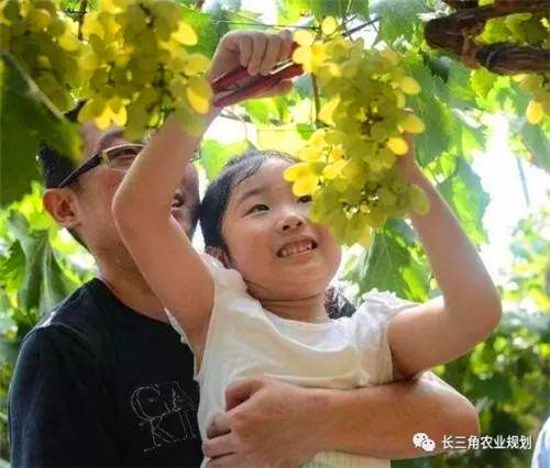 國(guó)家大力支持發(fā)展的“田園綜合體”是什么？怎么搞？(圖5)