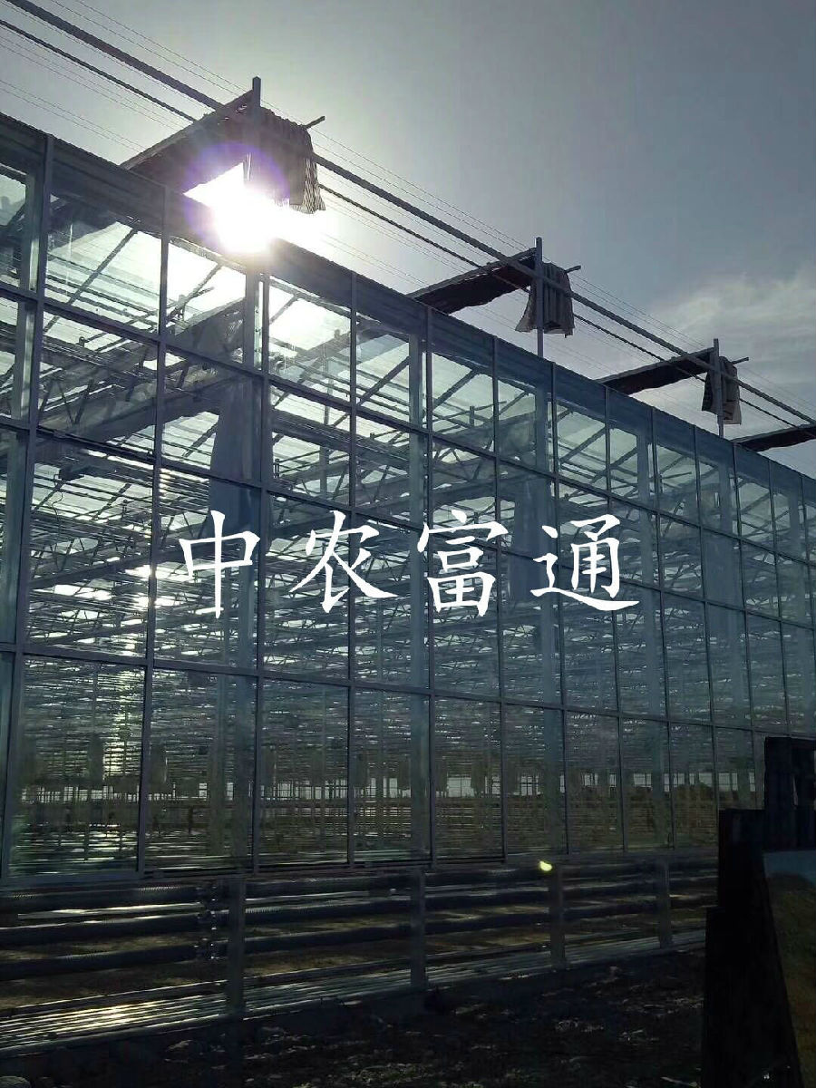 【邀請(qǐng)函】未來(lái)已來(lái) 中荷都市供給和綠色發(fā)展趨勢(shì)探秘(圖13)