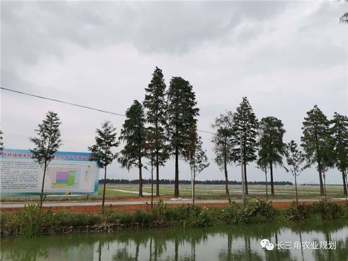 9月1日，中農(nóng)富通團隊開啟了高淳區(qū)域內(nèi)現(xiàn)代農(nóng)業(yè)示范園的調(diào)研工作，此次高淳區(qū)農(nóng)業(yè)園區(qū)調(diào)研由中農(nóng)富通長三角農(nóng)業(yè)規(guī)劃科學(xué)研究所所長薛欣艷與中國農(nóng)業(yè)大學(xué)規(guī)劃研究所園區(qū)規(guī)劃部分管總工趙嬋璞帶隊。(圖8)