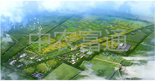 1、安徽省亳州市渦陽縣糧食產(chǎn)業(yè)現(xiàn)代農(nóng)業(yè)示范區(qū)總體規(guī)劃（2011-2015年）_副本.jpg