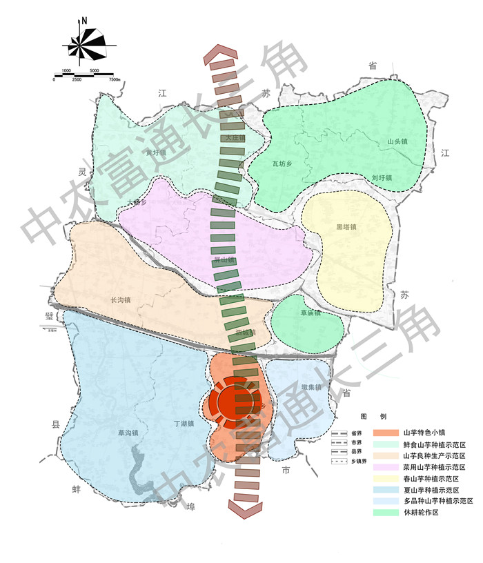 泗縣山芋產業(yè)發(fā)展規(guī)劃(圖1)