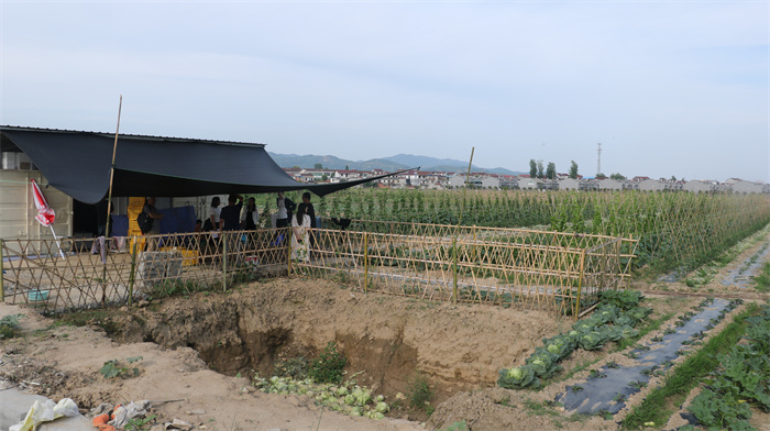 15、方三天有機菜園.jpg
